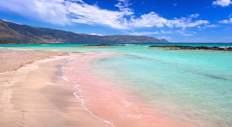 From Chania: Elafonisi Island Day Tour by Bus - Booking and Pricing: Good Value for Money