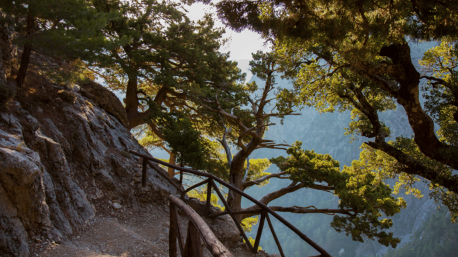 From Chania: Europes Longest Trek Through Samaria Gorge - Important Information