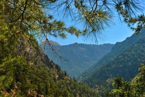 From Chania: Europes Longest Trek Through Samaria Gorge - Booking and Cancellation Policy