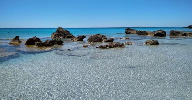 From Chania: Falassarna Beach, Wine & Olive Oil Private Tour - Itinerary