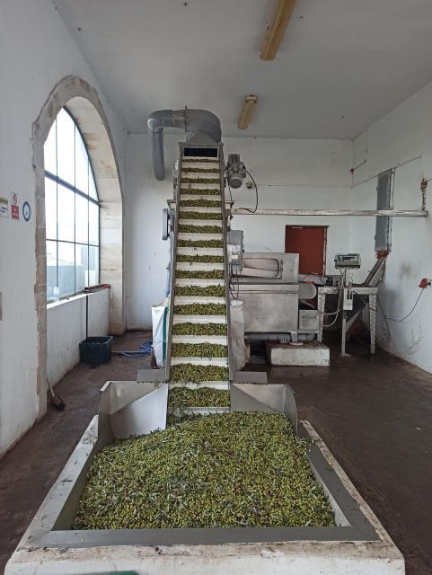 From Chania: Falassarna Beach, Wine & Olive Oil Private Tour - The Sum Up