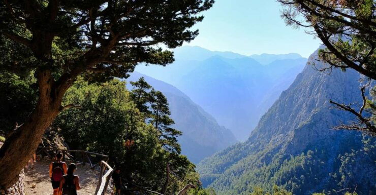 From Chania : Full-Day Samaria Gorge Hike - Activity Details
