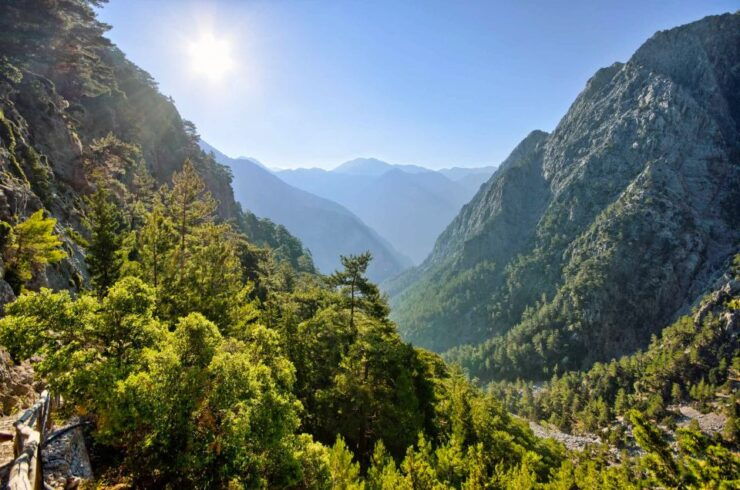 From Chania: Full-Day Samaria Gorge Trek Excursion - Experience