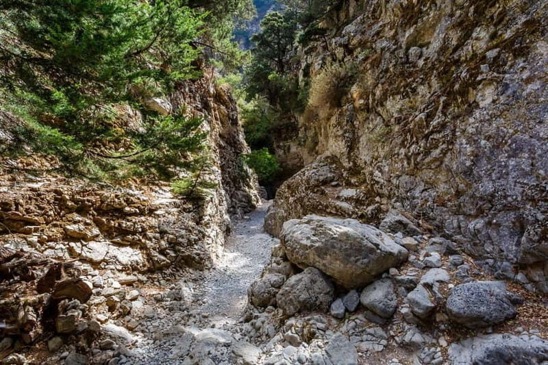 From Chania: Imbros Gorge and Sfakia Experience Hike & Swim - The Highlights of the Imbros Gorge and Sfakia Tour