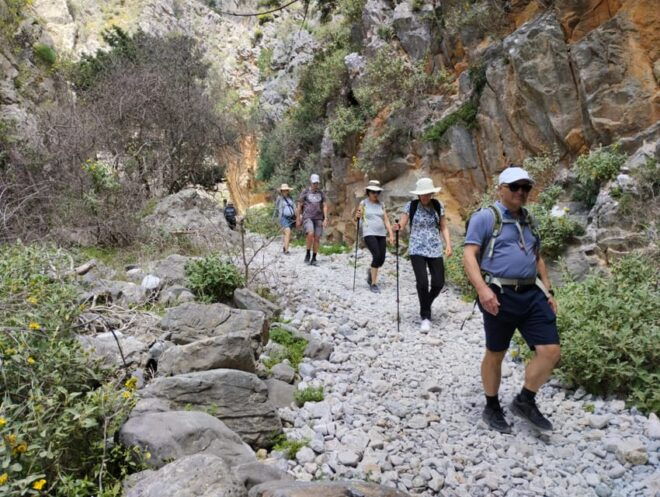 From Chania: Imbros Gorge Hike & Libyan Sea Relaxation - Inclusions and Exclusions
