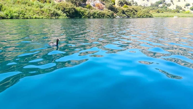 From Chania: Lake Kournas & Argiroupoli Springs Guided Tour - Good To Know