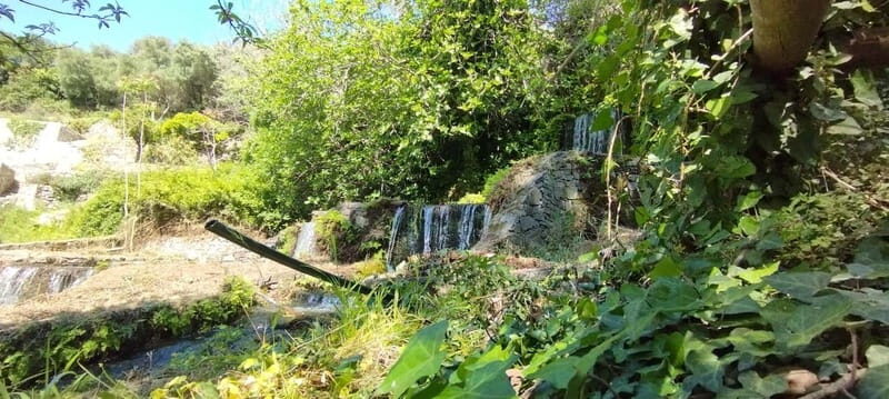 From Chania: Lake Kournas & Argiroupoli Springs Guided Tour - The Sum Up