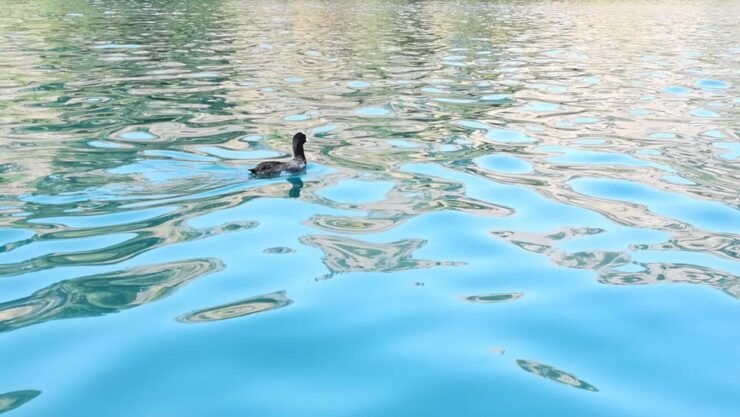 From Chania: Lake Kournas & Argiroupoli Springs Guided Tour - Good To Know