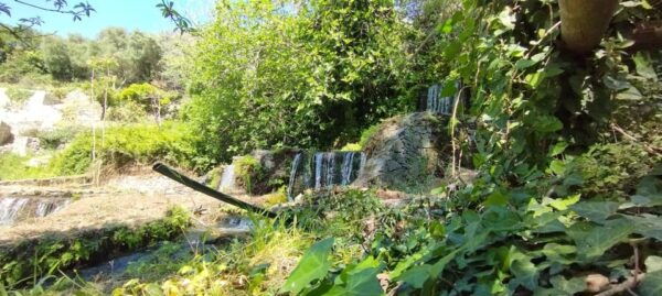 From Chania: Lake Kournas & Argiroupoli Springs Guided Tour - Scenic Vrysses Village