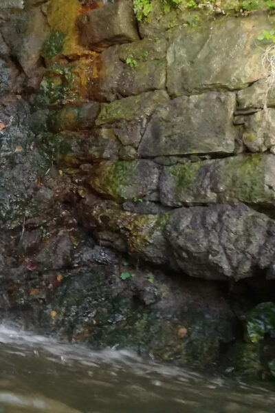 From Chania: Lake Kournas & Argiroupoli Springs Guided Tour - Frequently Asked Questions