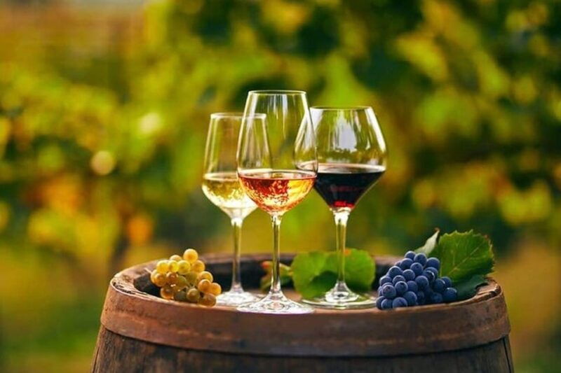 From Chania: Olive Oil, Wine, Cheese & Honey Tasting Tour - Good To Know