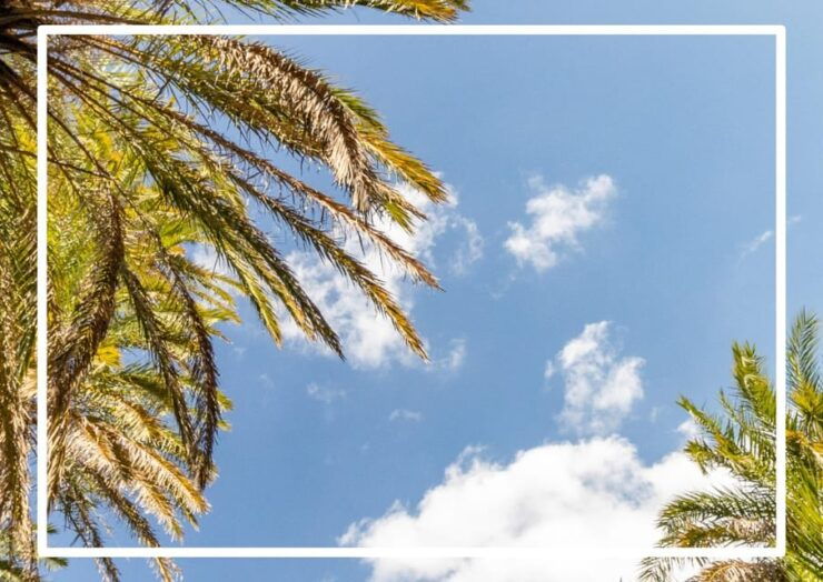 From Chania: Preveli Beach , a Day at a Tropical Paradise! - Good To Know