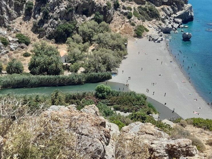From Chania: Preveli Palm Beach and Kourtaliotis Waterfalls - Detailed Itinerary