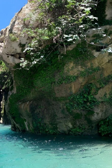 From Chania: Preveli Palm Beach and Kourtaliotis Waterfalls - Exclusions to Note