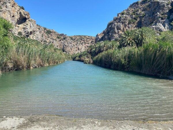 From Chania: Preveli Palm Beach and Kourtaliotis Waterfalls - Accessibility Considerations