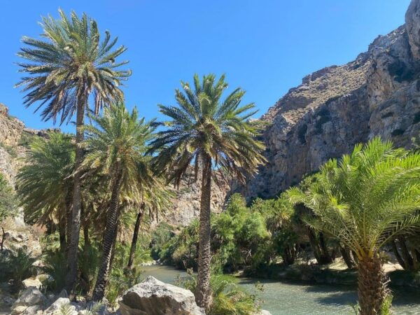 From Chania: Preveli Palm Beach and Kourtaliotis Waterfalls - Tips for Travelers
