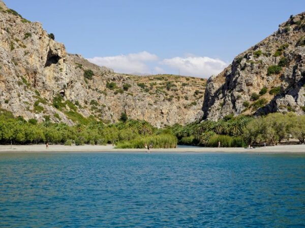 From Chania : Preveli Palm Beach - Customer Reviews