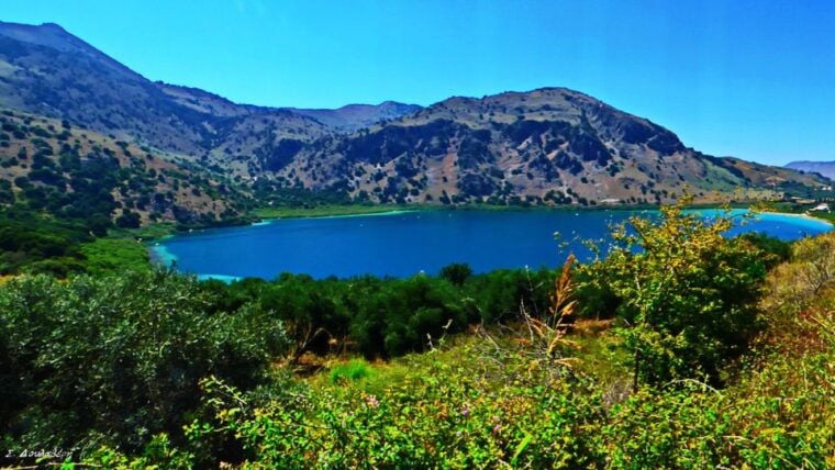 From Chania: Rethymno, Lake Kournas & Olive Oil Tasting Tour - Transportation & Overall Experience
