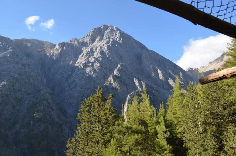 From Chania: Samaria Gorge Hike with Local Mountain Guide - What You Can Expect on the Tour