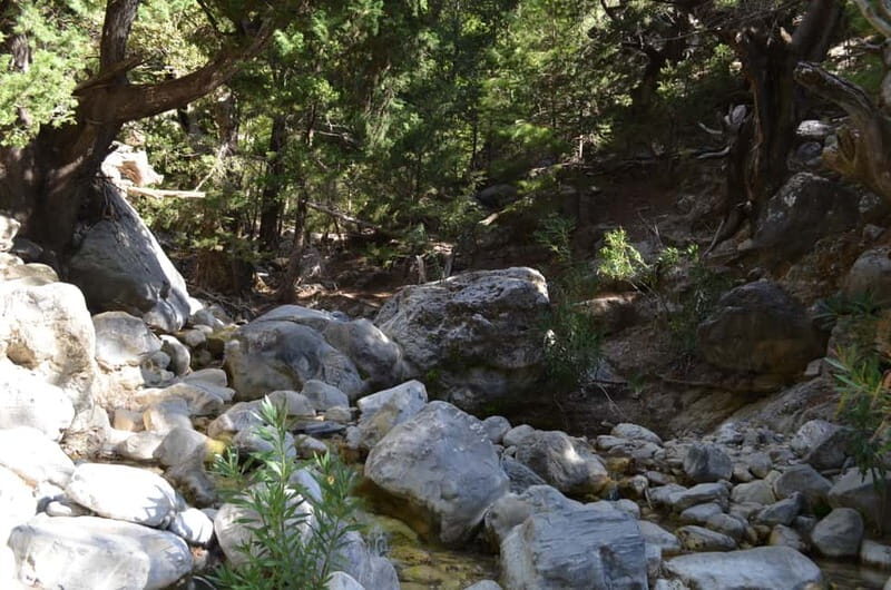 From Chania: Samaria Gorge Hike with Local Mountain Guide - Final Thoughts: Who Should Consider This Tour?