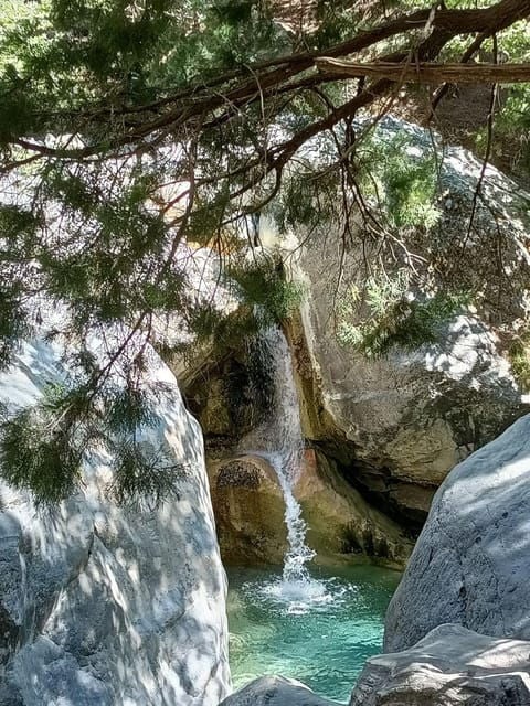 From Chania: Samaria Gorge with Professional Hiking Guide - Wildlife and Unique Sightings  
