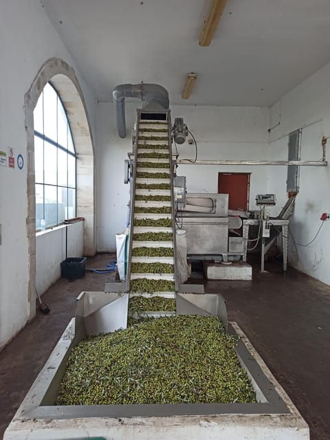 From Chania: Wine, Honey & Olive Oil Private Tour - Good To Know