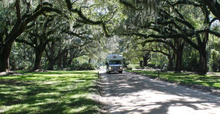 From Charleston: Boone Hall Plantation Day Trip by Bus - Experience Highlights
