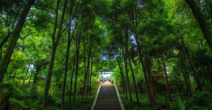 From Chengdu: Mt. Qingcheng and Dujiangyan Private Day Tour - Highlights