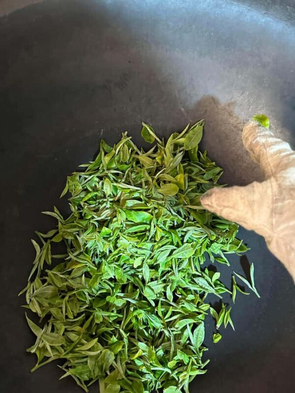 From Chengdu: Tea Garden, Bamboo Weaving & Ancient Town Tour - Good To Know