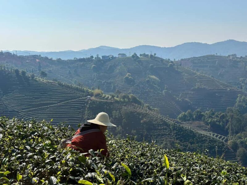 From Chengdu: Tea Garden, Bamboo Weaving & Ancient Town Tour - A Day Outside Chengdu: What to Expect  