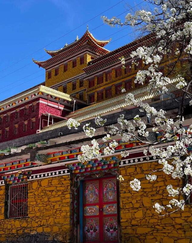 From Chengdu: Tibetan Village Live as a Tibetan Day Tour - Final Thoughts