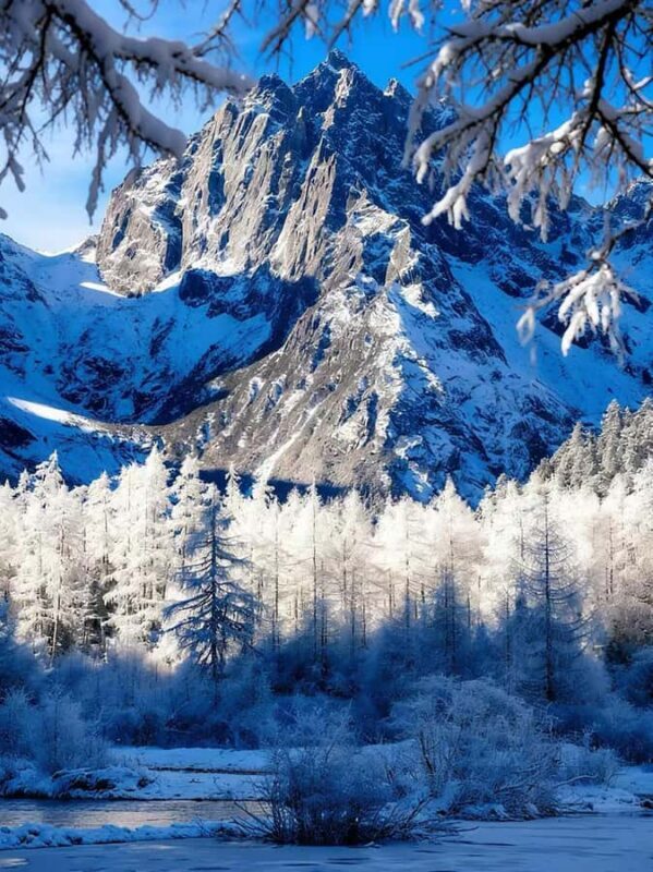 From Chengdu:Bipeng Valley Day Trip - Good To Know