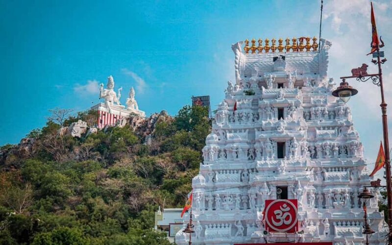 From Chennai: Full-Day Srikalahasti Temple Tour - Why This Tour Is a Great Choice