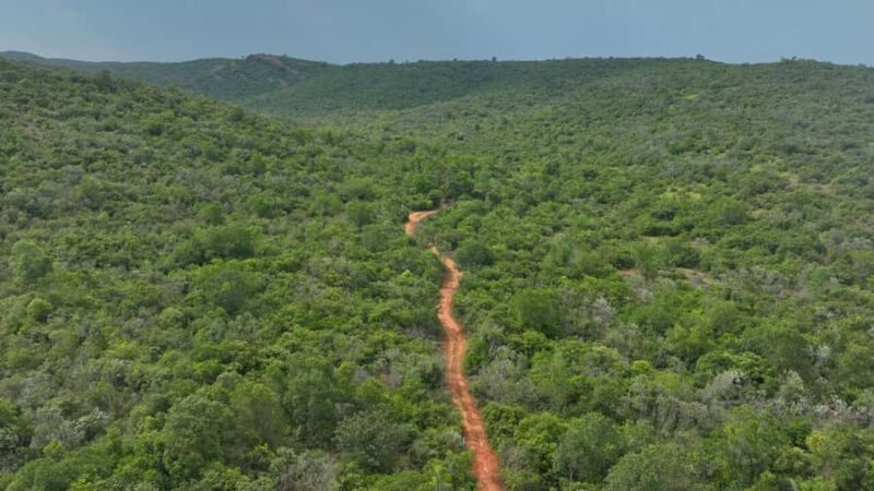 From Chennai: Gudiyam Caves Guided Trek (with Transport) - Good To Know