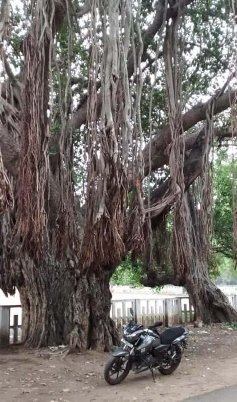 From Chennai: Private same day tour to Kanchipuram & Vellore - FAQ