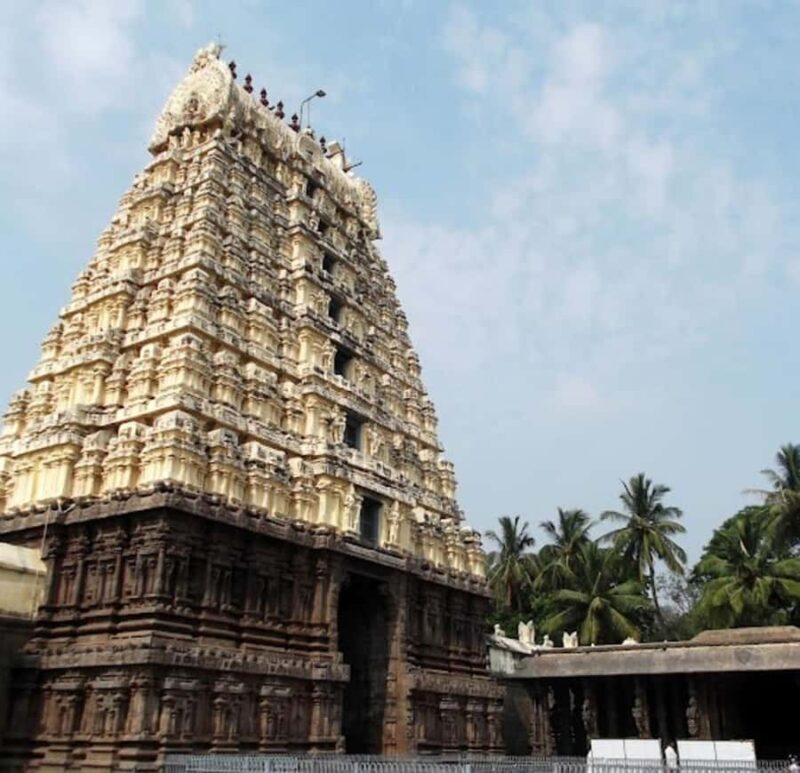 From Chennai: Private same day tour to Kanchipuram & Vellore - Final Thoughts