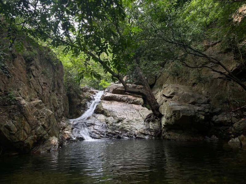 From Chennai: Waterfalls Guided Trek with Trek Guide & Lunch - Introduction