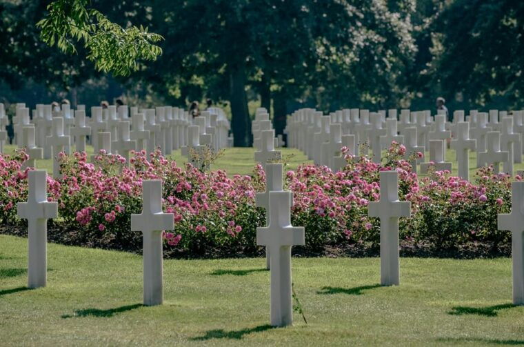 From Cherbourg: D-Day Beaches Private Shore Excursion - Important Information