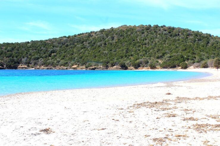 From Chia: Full-Day Tour of Sardinias Hidden Beaches - Good To Know