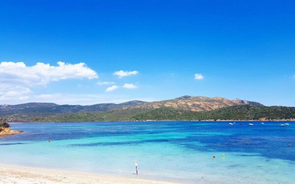 From Chia: Full-Day Tour of Sardinias Hidden Beaches - Frequently Asked Questions