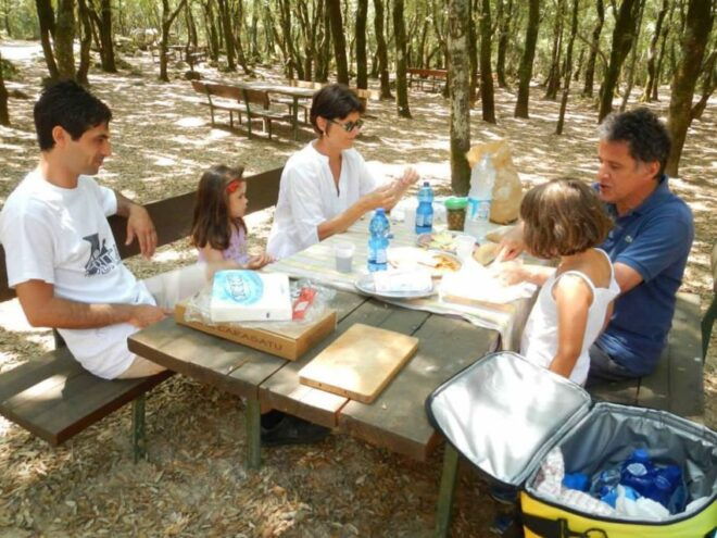 From Chia: Nuraghe Tour of Sardinia - Cancellation Policy