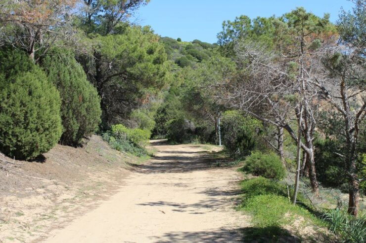 From Chia: Private Half-Day Ancient Roman Road Hiking Tour - Pricing and Duration