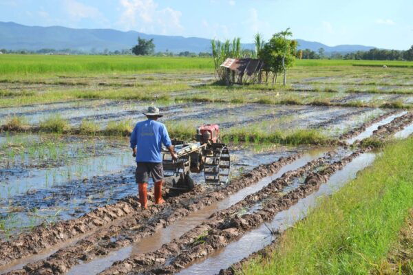 From Chiang Mai: 2 Days Cycling & Kayaking Tour in Mae Taeng - Questions You May Have