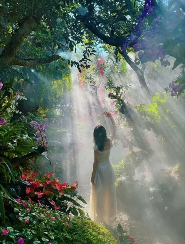 From Chiang Mai: Chiang Rai Temples & Lalitta Cafe Tour - What Reviewers Appreciate Most