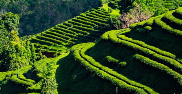 From Chiang Mai: Customize Your Northern Thailand Itinerary - Essential Inclusions