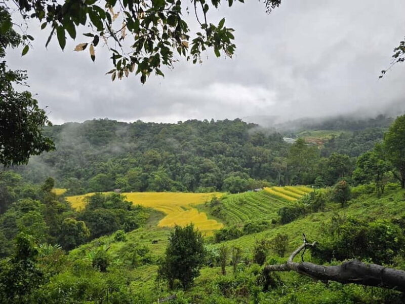 From Chiang Mai: Doi Inthanon National Park Day Trip - Is This Tour Right for You?