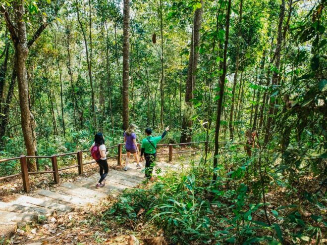 From Chiang Mai: Doi Inthanon National Park Day Trip - Important Items to Bring