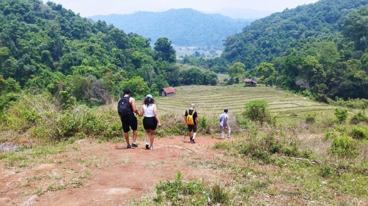 From Chiang Mai: Doi Inthanon National Park Hiking Tour - Tour Details