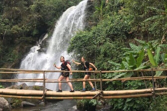 From Chiang Mai: Doi Inthanon Park & Pha Dok Siew Waterfall Hike - What to Expect from This Tour: An Honest Breakdown