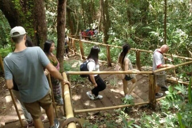 From Chiang Mai: Doi Inthanon Park & Pha Dok Siew Waterfall Hike - How This Tour Delivers Real Value